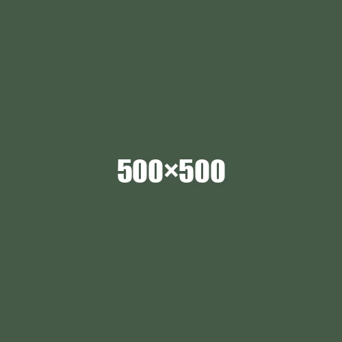 image de remplacement 500 × 500