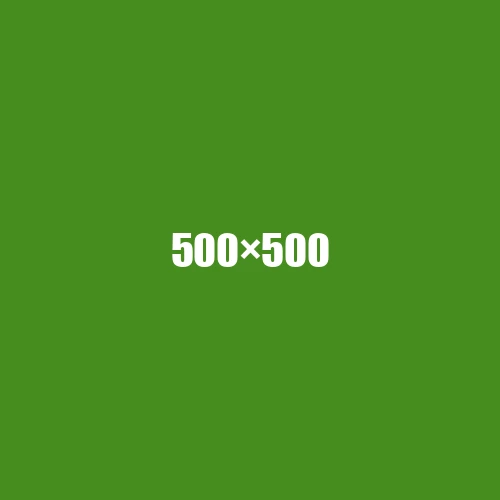 image de remplacement 500 × 500
