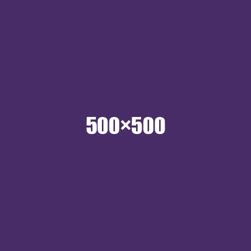 image de remplacement 500 × 500