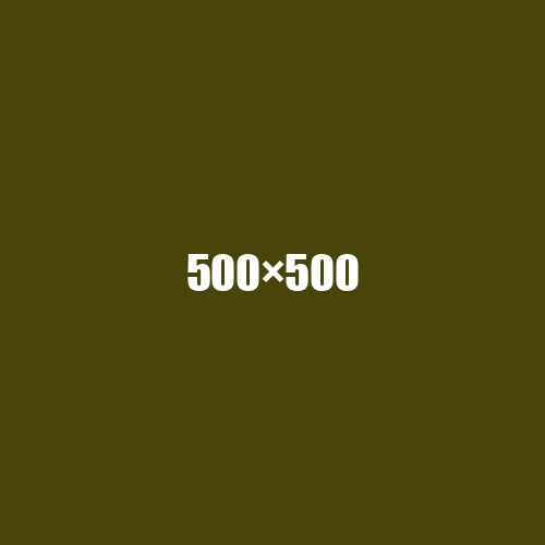image de remplacement 500 × 500