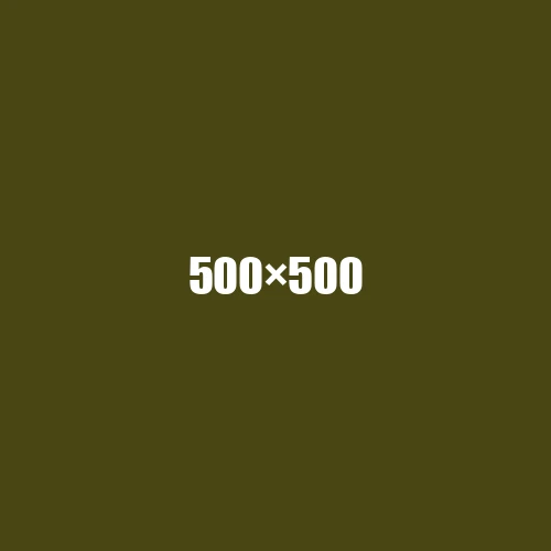 image de remplacement 500 × 500