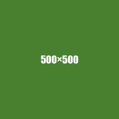 image de remplacement 500 × 500