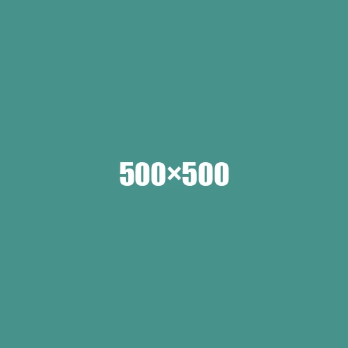 image de remplacement 500 × 500