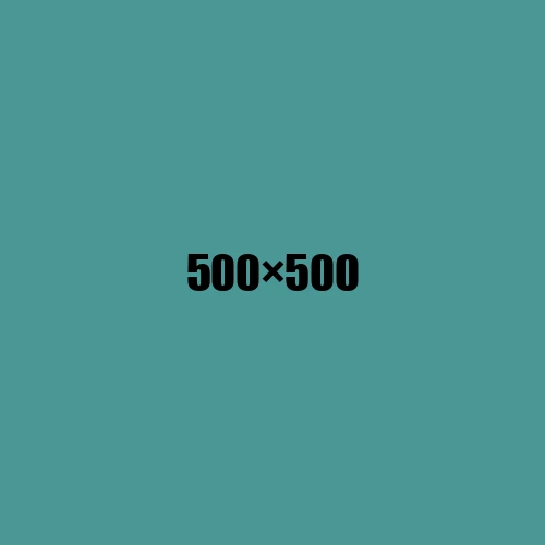 image de remplacement 500 × 500