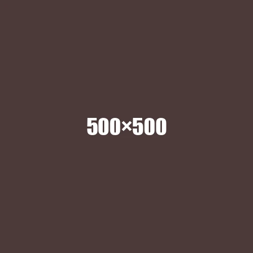 image de remplacement 500 × 500