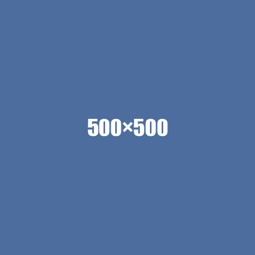image de remplacement 500 × 500