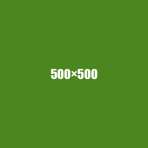 image de remplacement 500 × 500