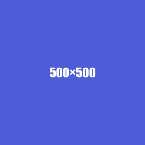 image de remplacement 500 × 500
