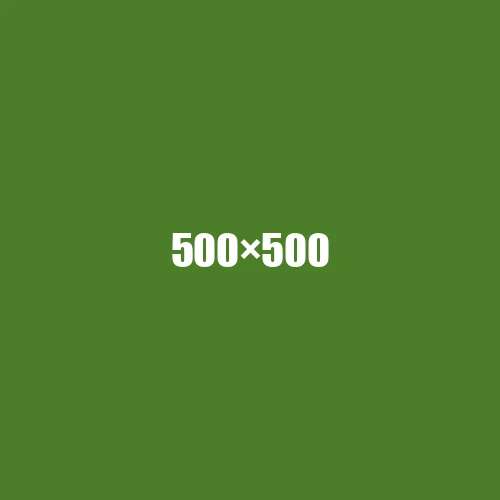 image de remplacement 500 × 500