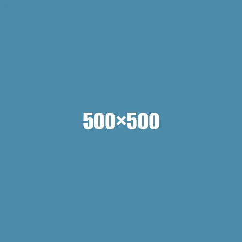 image de remplacement 500 × 500