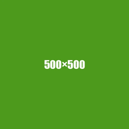 image de remplacement 500 × 500