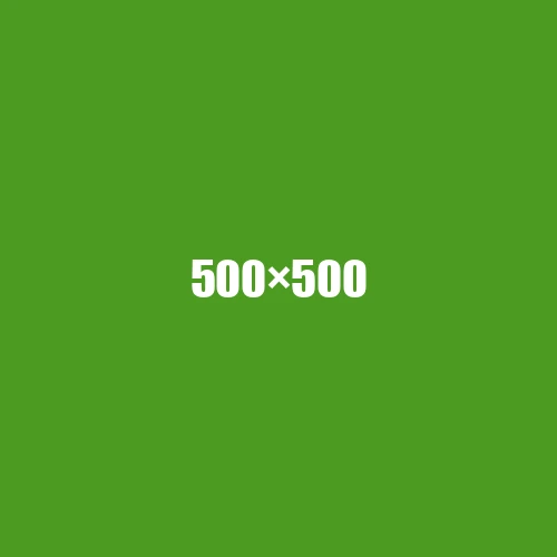 image de remplacement 500 × 500