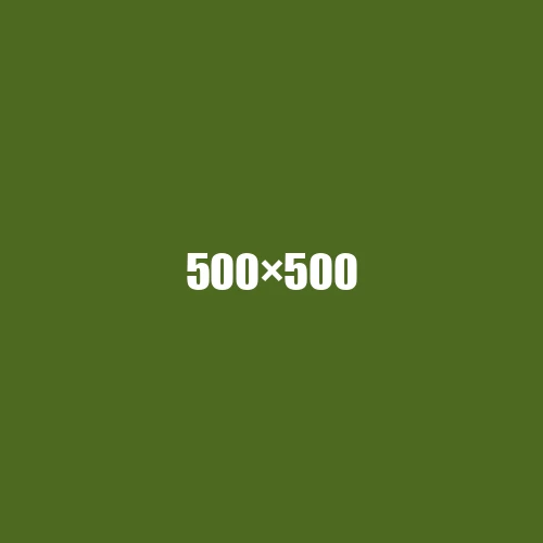image de remplacement 500 × 500