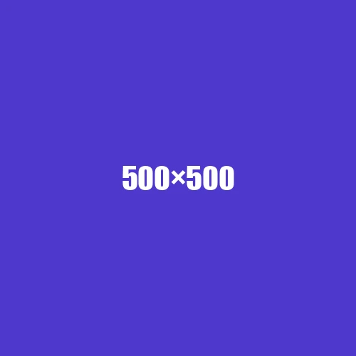image de remplacement 500 × 500