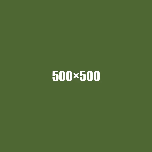 image de remplacement 500 × 500