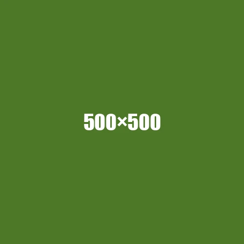 image de remplacement 500 × 500