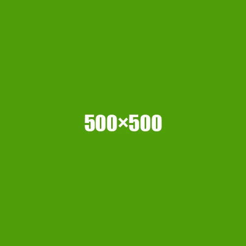 image de remplacement 500 × 500