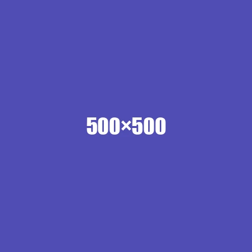 image de remplacement 500 × 500