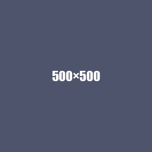image de remplacement 500 × 500