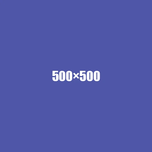 image de remplacement 500 × 500