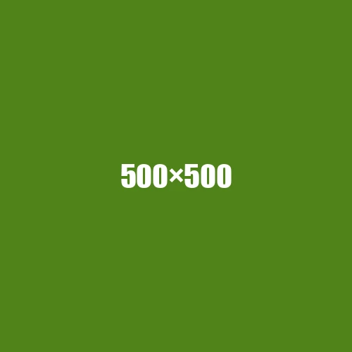 image de remplacement 500 × 500
