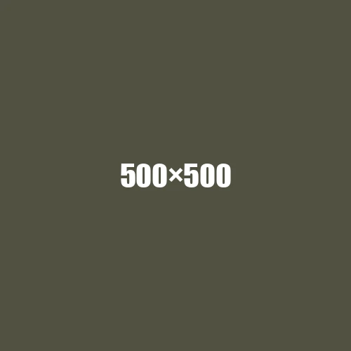 image de remplacement 500 × 500