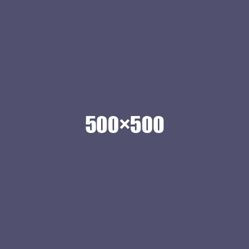 image de remplacement 500 × 500
