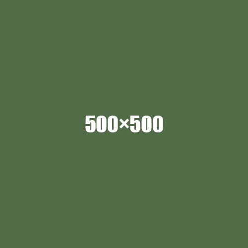 image de remplacement 500 × 500