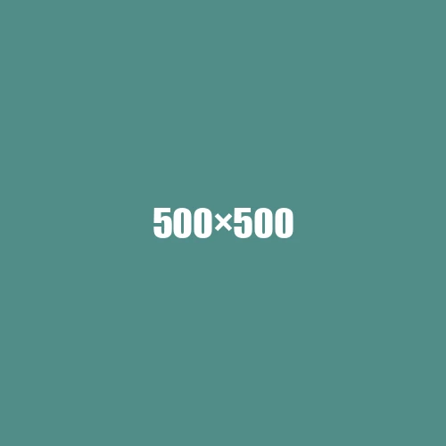 image de remplacement 500 × 500