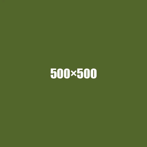 image de remplacement 500 × 500