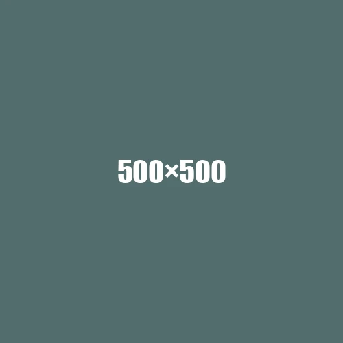 image de remplacement 500 × 500