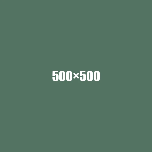 image de remplacement 500 × 500