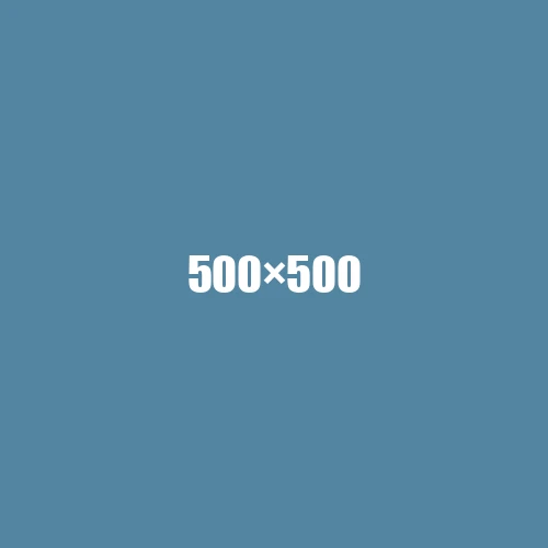 image de remplacement 500 × 500