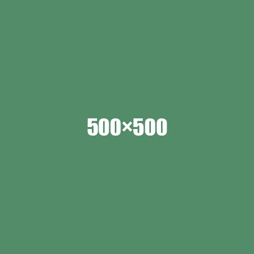 image de remplacement 500 × 500