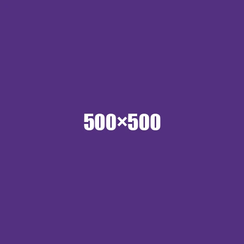 image de remplacement 500 × 500
