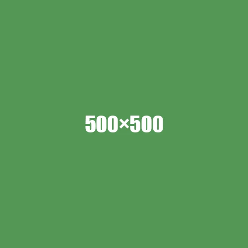 image de remplacement 500 × 500