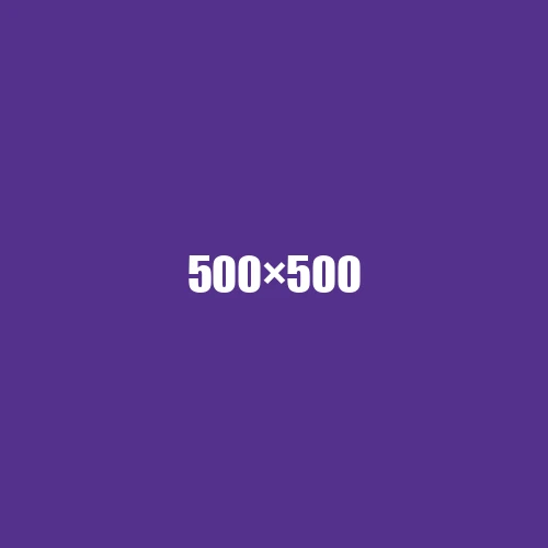 image de remplacement 500 × 500