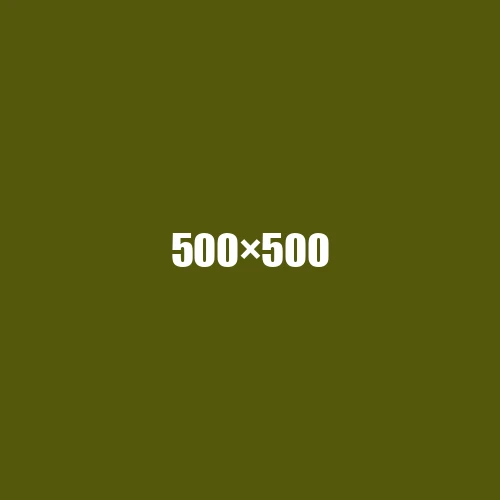 image de remplacement 500 × 500