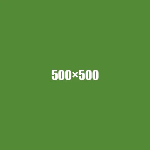 image de remplacement 500 × 500