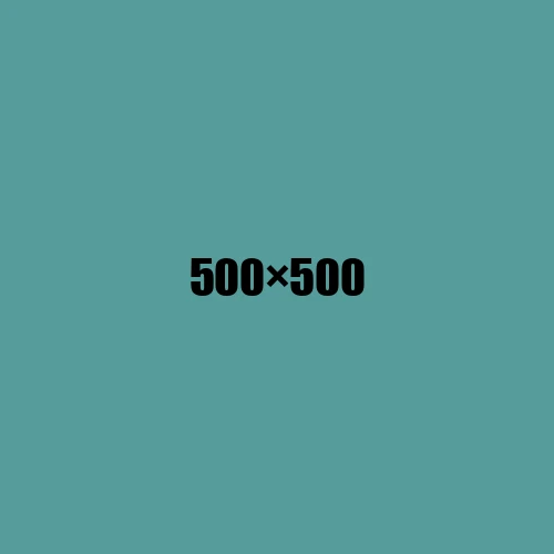 image de remplacement 500 × 500