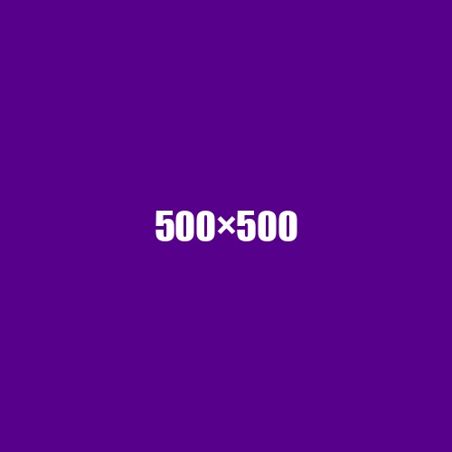 image de remplacement 500 × 500