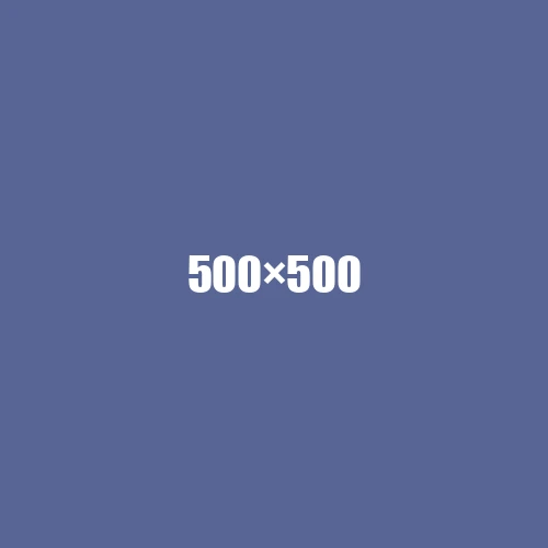 image de remplacement 500 × 500