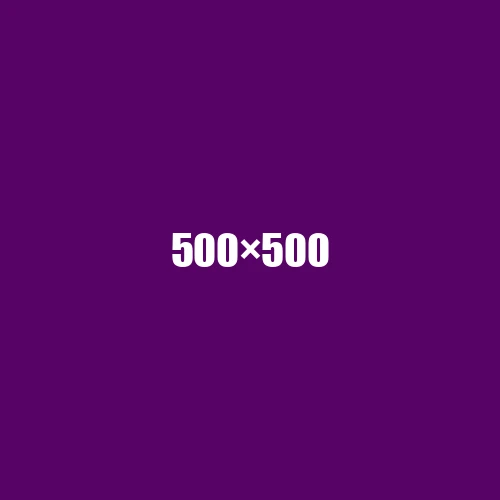image de remplacement 500 × 500