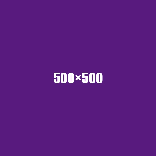 image de remplacement 500 × 500