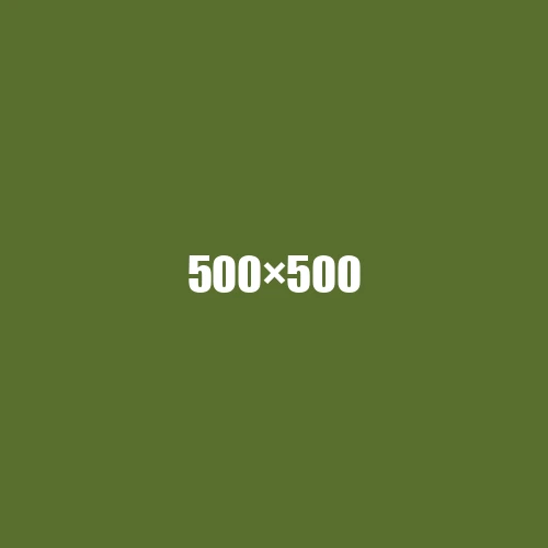 image de remplacement 500 × 500