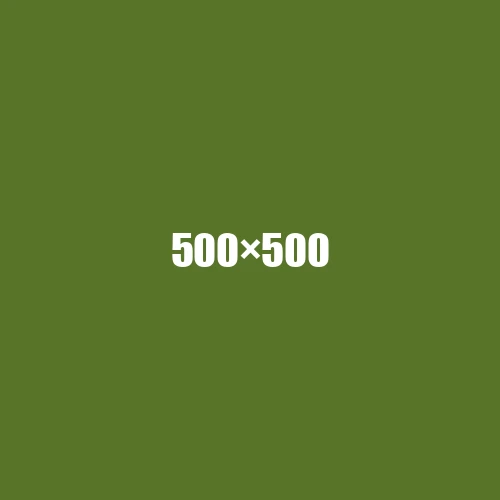image de remplacement 500 × 500