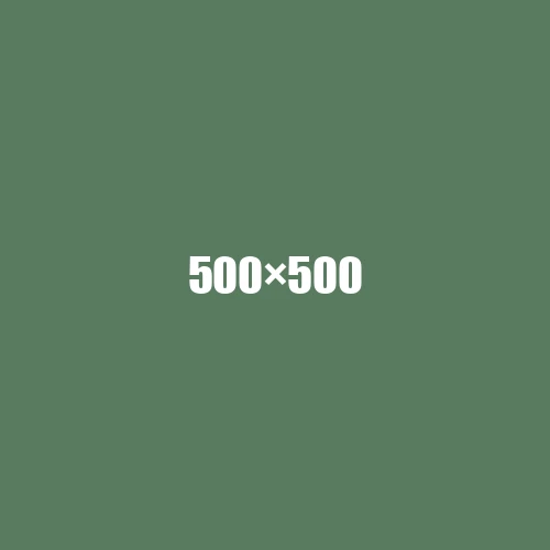 image de remplacement 500 × 500