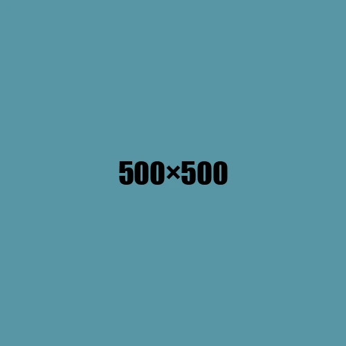 image de remplacement 500 × 500