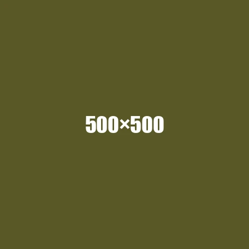 image de remplacement 500 × 500