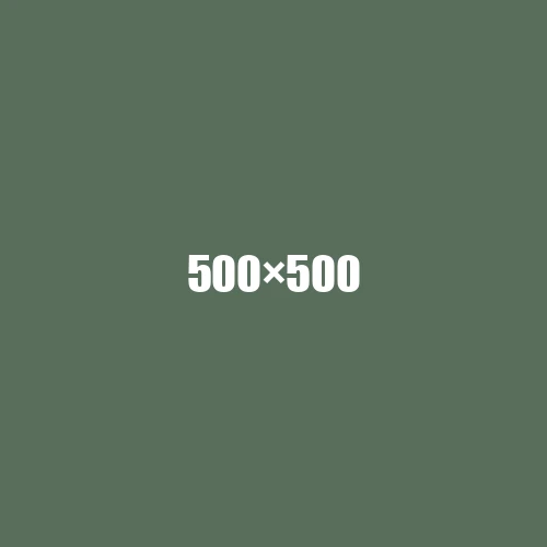 image de remplacement 500 × 500